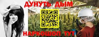 шишки Бузулук