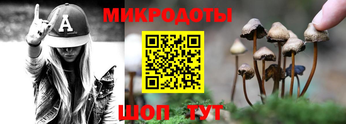 Псилоцибиновые грибы мицелий Луга
